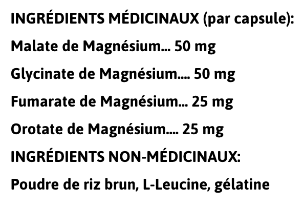 XPN - MAG 4